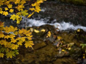 Gümüşhane’den sonbahar manzaraları