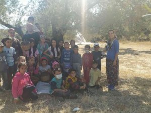 Minik öğrencilerden yöresel kıyafetlerle zeytin hasadı