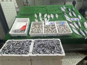 Hamsinin yerini İstavrit aldı