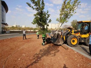 Çocuk hastanesinin çevresi yeşilleniyor