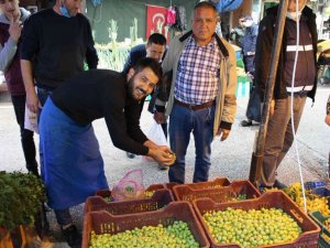 Günde yedi zeytin yiyip alzheimerdan korunun