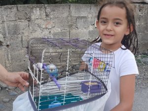 İtfaiyeciler kafesinden kaçan muhabbet kuşu için seferber oldu
