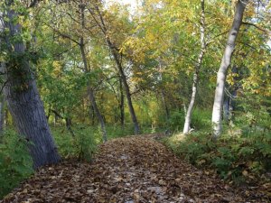 Günyüzü’nden eşsiz sonbahar manzaraları