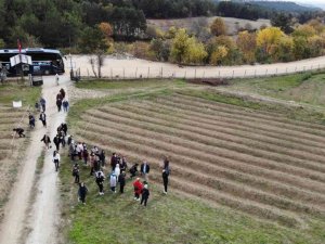Yerli ve yabancı turistlerin gözdesi ’safran tarlaları’ ilçe turizmini hareketlendirdi