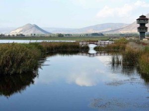 Kaz gölünde sonbahar