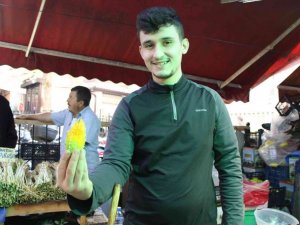 Yaraları iyileştiren böyle ’kudret’li ilaç yok