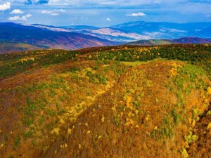 Topçam dağında hazan mevsimi