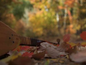 Elazığ’da sonbaharda rengarenk olan ağaçlar havadan görüntülendi