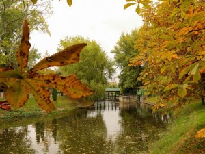 Eskişehir’de kartpostallık sonbahar manzaraları