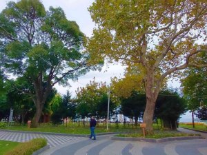 Tekirdağ’da iki devlet gören tabiatın sessiz tanıkları