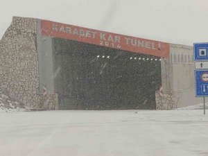 Van’da kar yağışı ve sis