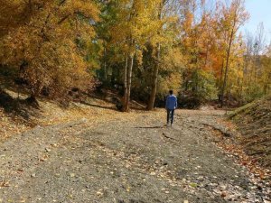 İlkbaharda gürül gürül akan dere yatağı şimdi yol olarak kullanılıyor