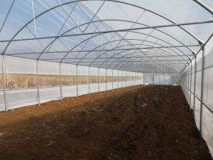 Fidanlık şefliğinde bulunan seranın onarımı yapılacak