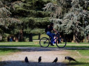 Botanik Park’ta sonbaharla birlikte renkli görüntüler