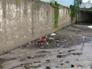 Maltepe’de Çamaşırcı Deresi’nin lağım kokusu ve çöpü esnafı vurdu