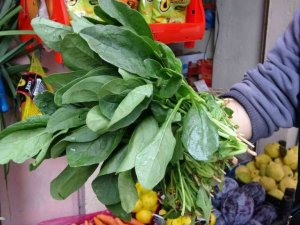 Giresun Sağlık İl Müdürü Muhammet Bulut: "Zehirli olan ıspanak değil, güzelavrat otu"