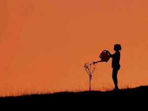 “Küresel İklim Değişikliği Fotoğraf Yarışması” sonuçlandı