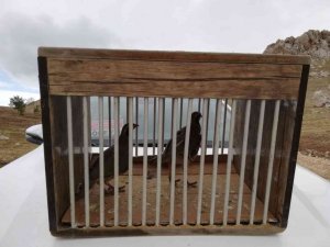 Van’da kafes avcılığı yapan 5 kişi jandarmaya takıldı