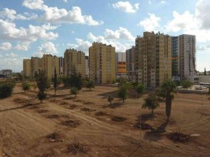 Ay Deresi yemyeşil vadiye dönüşecek