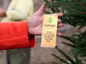 Muhtarlar Bademlidere’ye fidan dikti