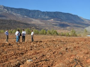Yanan sahalarda fidan dikim hazırlıkları