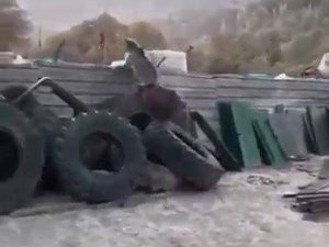 Yavru ayılar sanayi sitesine indi