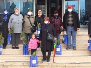 Tapuya gidene fidan hediye