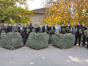 Çiftçilere dağıtılan 120 bin lavanta fidesi toprakla buluşuyor