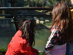 Hayvanat Bahçesi’nin özel konukları