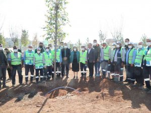 Gazaintep’te 27 milyon fidan hedefi için ağaç dikim başladı