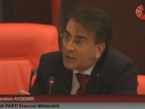 Aydemir TBMM’de Dadaşların tespitlerini aktardı