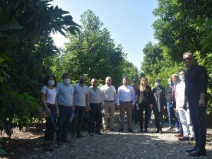 Efeler’de katma değeri yüksek ürünler yetişecek