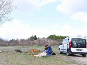 Kahramankazan Belediye Başkanı Oğuz: "Sahipsiz değiller bize emanetler"