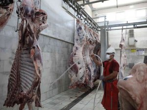 Büyükşehir mezbahalarına tam not