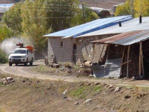 Van’da bir mahalleyi pireler bastı