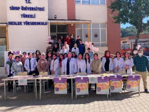 Türkeli MYO’dan meme kanseri farkındalık etkinliği
