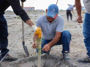 Meram’da her doğan bebeğin bir dikili fidanı var