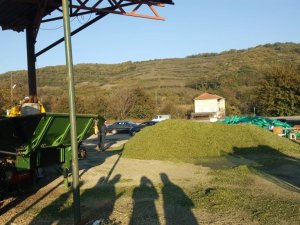 Çataklı, tarımsal işletmeleri inceledi