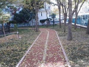 Sincan sonbaharda da ışıl ışıl