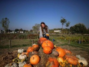 Bursa’da üretilen farklı tür kabakların yaygınlaşması hedefleniyor