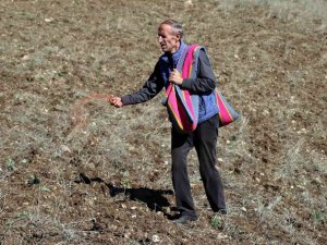 Kuşlar aç kalmasın diye 11 yıldır boş tarlaları ekiyorlar