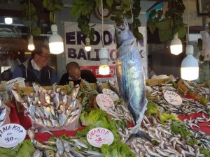 Karadeniz’de torik bereketi; tanesi 300 liraya satılıyor