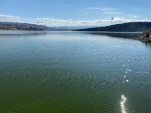 Ankara’nın denizi Çayırhan Gölü, balıkçıların uğrak noktası