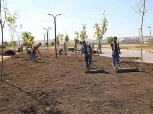 Haliliye’de yeşil alan sayısı artıyor