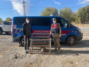 Jandarmadan yaralı baykuşa şefkat eli