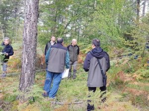 Ulusal orman envanteri çalışmaları devam ediyor