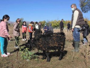 Erzincan’da minik öğrenciler çiftlikteki doğal yaşamı yerinde gördü