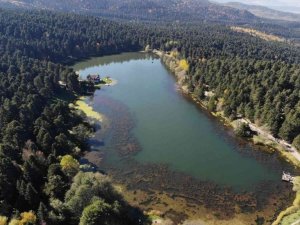 Gölcük Tabiat Parkı’nda sonbahar güzelliği mest etti