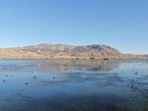 Toplu balık ölümleriyle endişelendiriyordu, eski görünümüne kavuştu