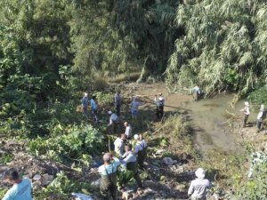 Sit alanında izinli temizlik